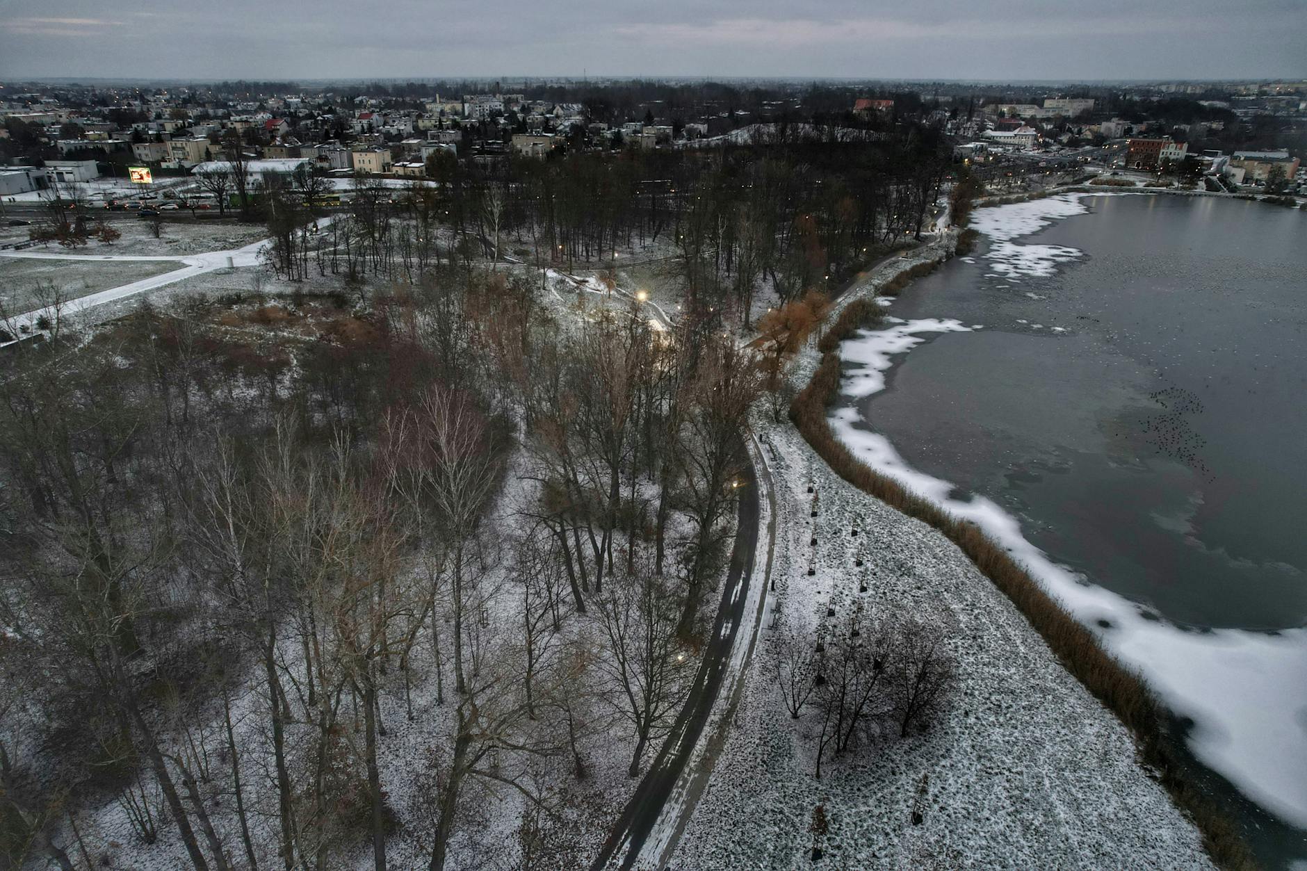 Działka ogrodowa w Bielawie z młodymi sadzonkami warzyw i kwiatów, gotowa do wiosennego sadzenia.